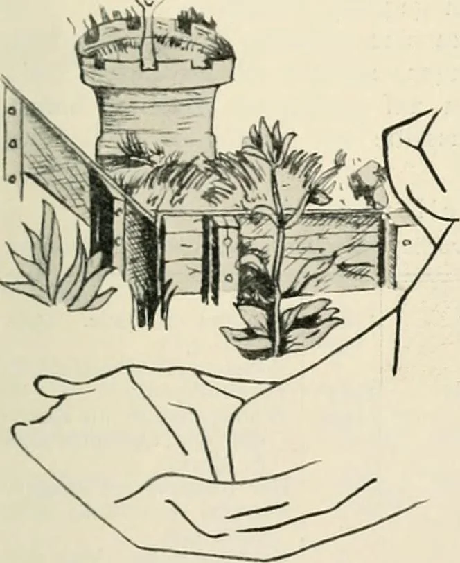 An illustration from Die Gartenkunst, 1899, leaf 130