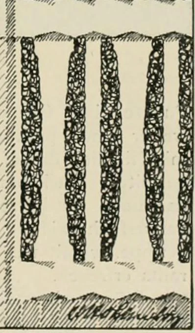 An illustration from Die Gartenkunst, 1899, leaf 146