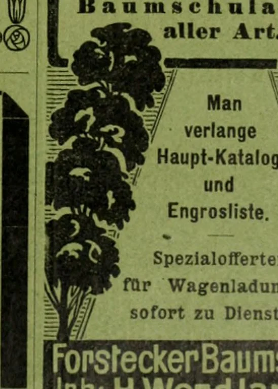 An illustration from Die Gartenkunst, 1899, leaf 166