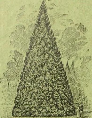 An illustration from Die Gartenkunst, 1899, leaf 169
