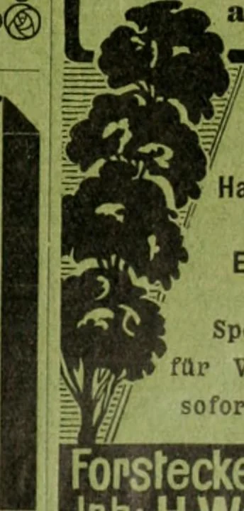 An illustration from Die Gartenkunst, 1899, leaf 194