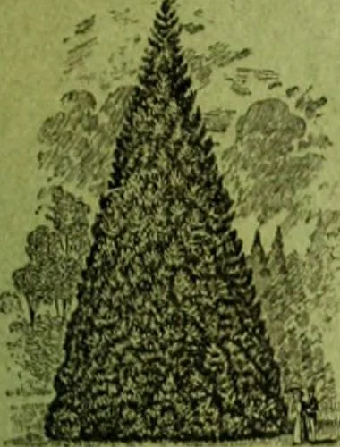 An illustration from Die Gartenkunst, 1899, leaf 212