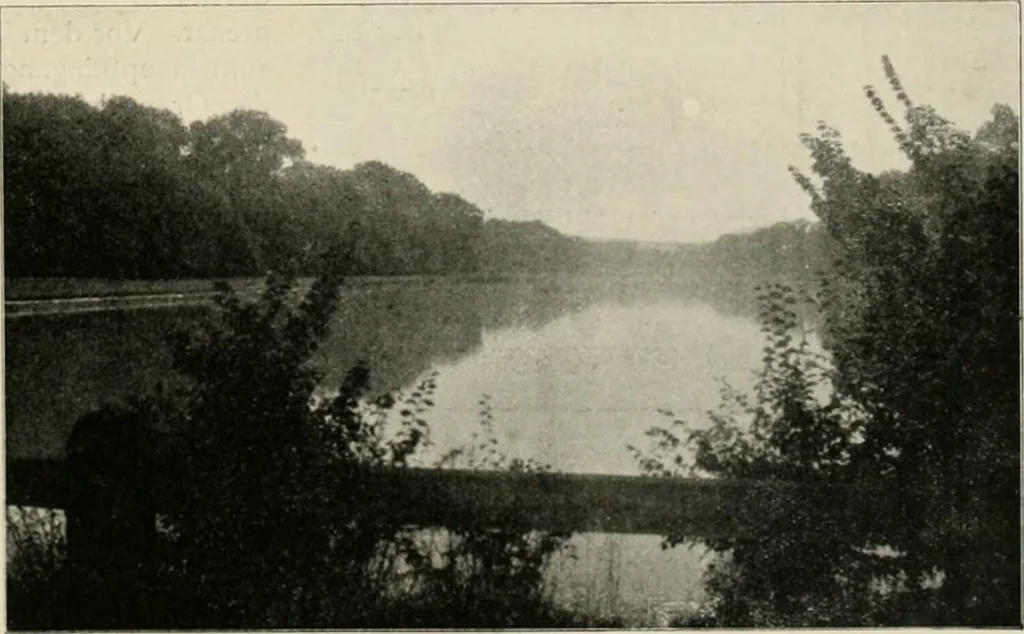 An illustration from Die Gartenkunst, 1899, leaf 222