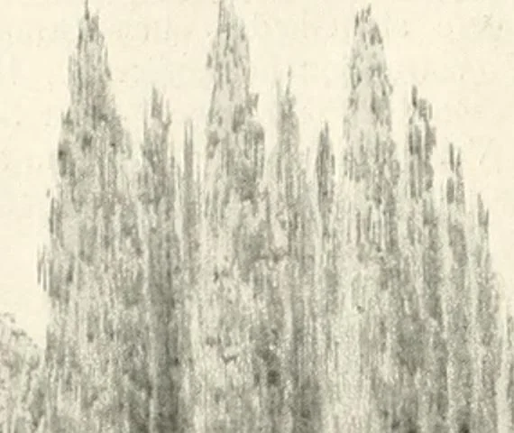 An illustration from Die Gartenkunst, 1899, leaf 25
