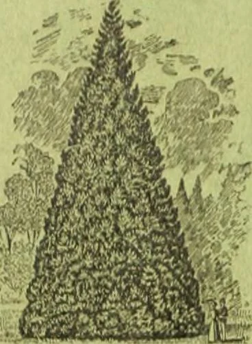 An illustration from Die Gartenkunst, 1899, leaf 275