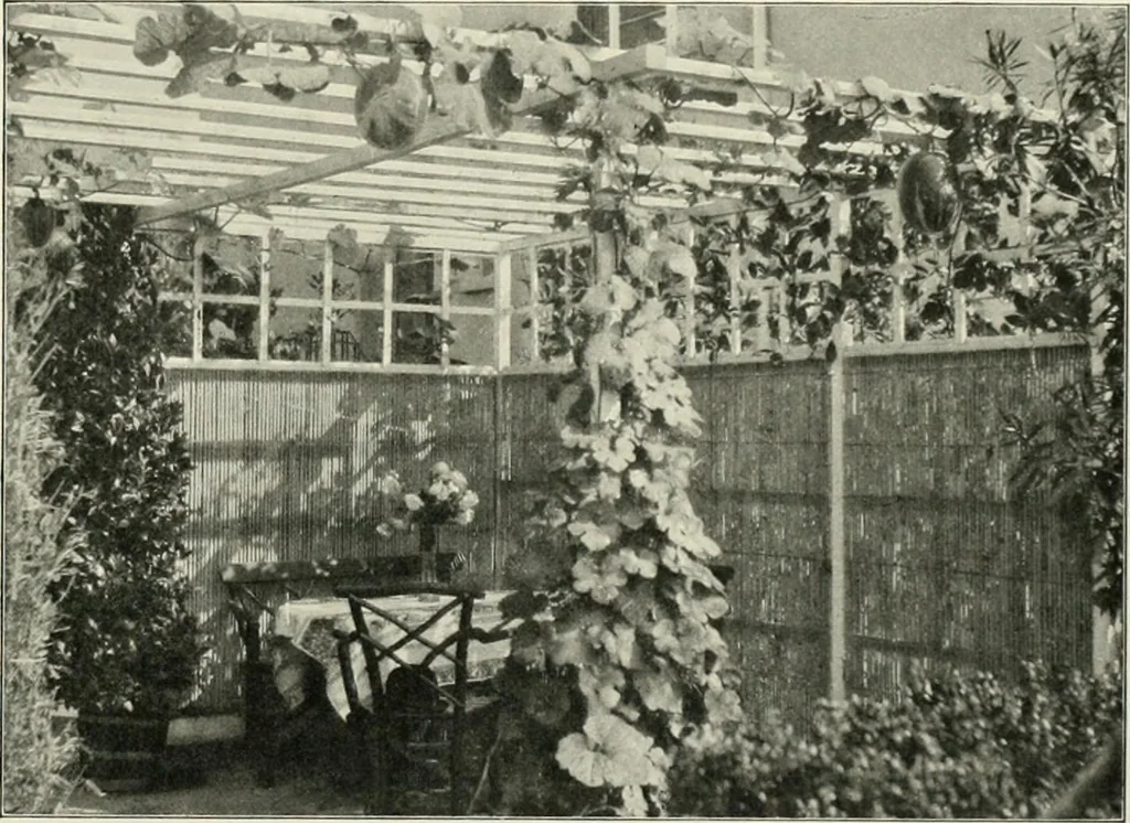 An illustration from Die Gartenkunst, 1899, leaf 310