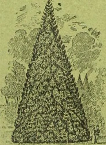 An illustration from Die Gartenkunst, 1899, leaf 339