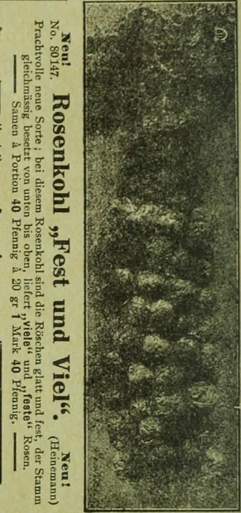 An illustration from Die Gartenkunst, 1899, leaf 41