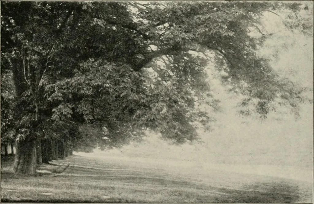 An illustration from Die Gartenkunst, 1899, leaf 414