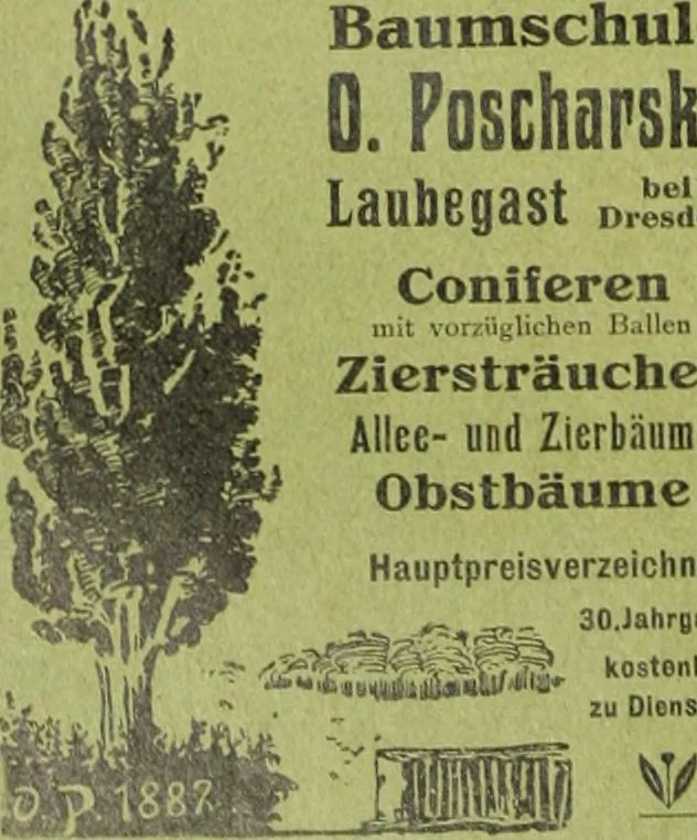 An illustration from Die Gartenkunst, 1899, leaf 433