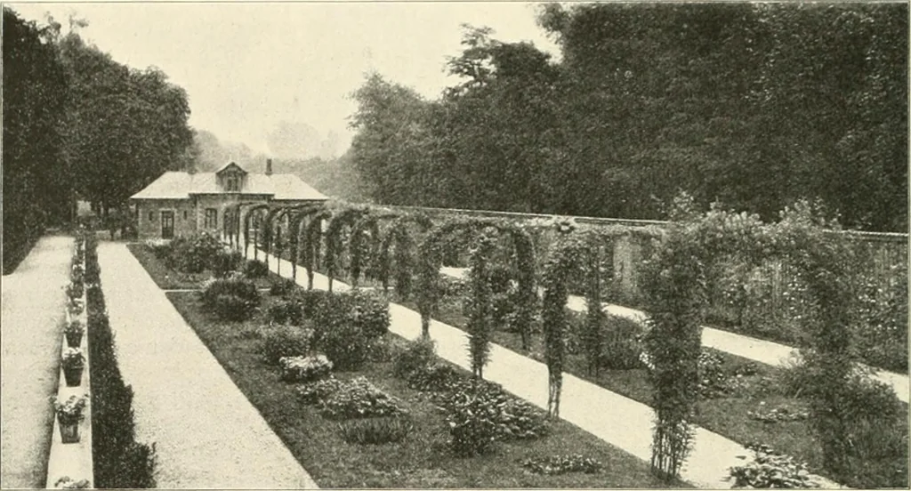 An illustration from Die Gartenkunst, 1899, leaf 449