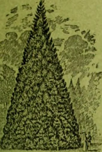 An illustration from Die Gartenkunst, 1899, leaf 456