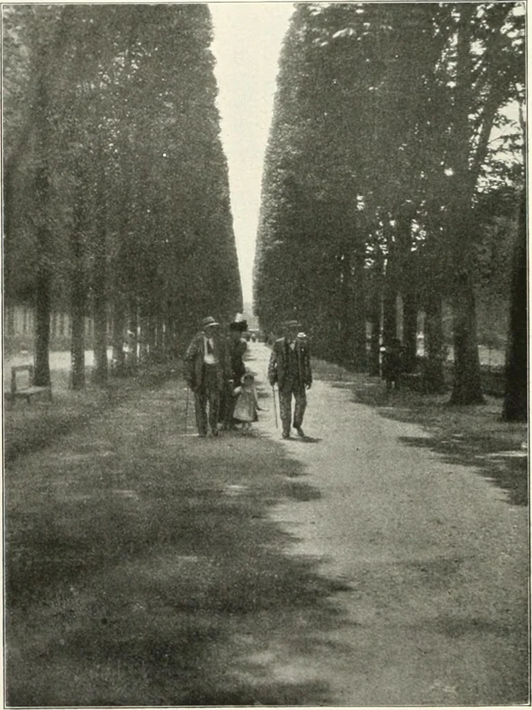 An illustration from Die Gartenkunst, 1899, leaf 487