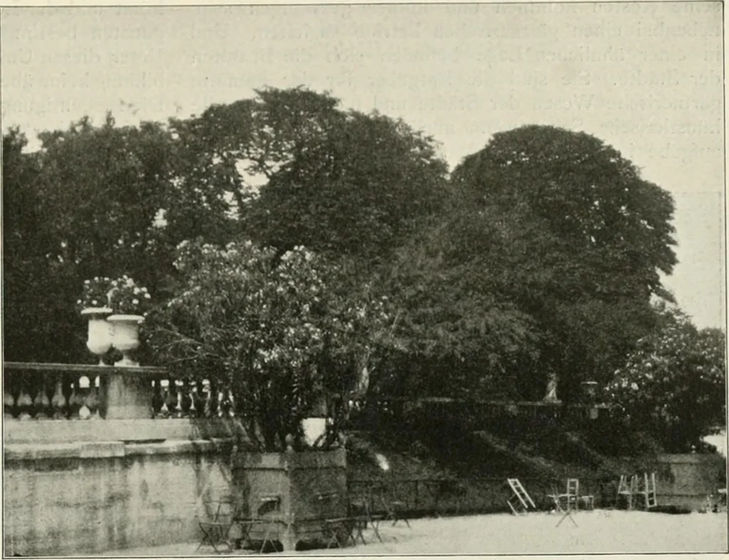 An illustration from Die Gartenkunst, 1899, leaf 490