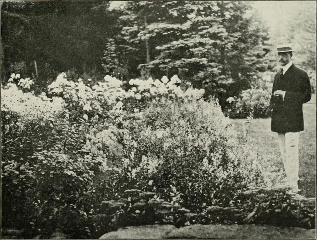 An illustration from Die Gartenkunst, 1899, leaf 496