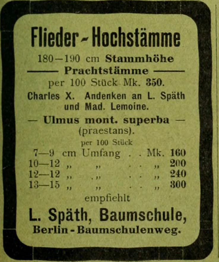 An illustration from Die Gartenkunst, 1899, leaf 498