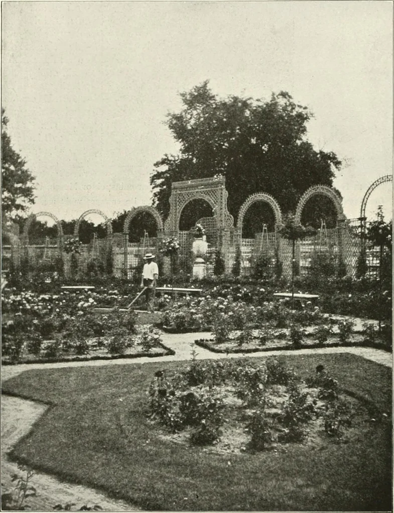 An illustration from Die Gartenkunst, 1899, leaf 517