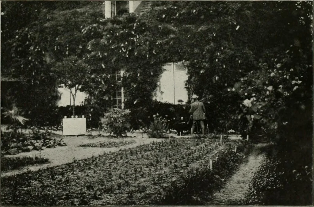 An illustration from Die Gartenkunst, 1899, leaf 540