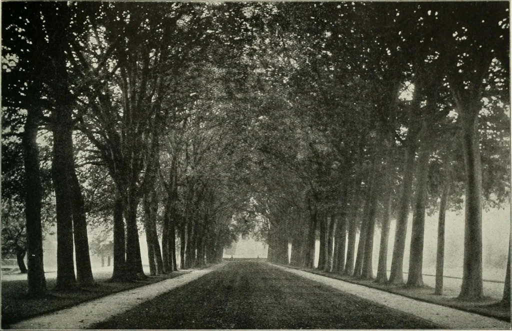 An illustration from Die Gartenkunst, 1899, leaf 544