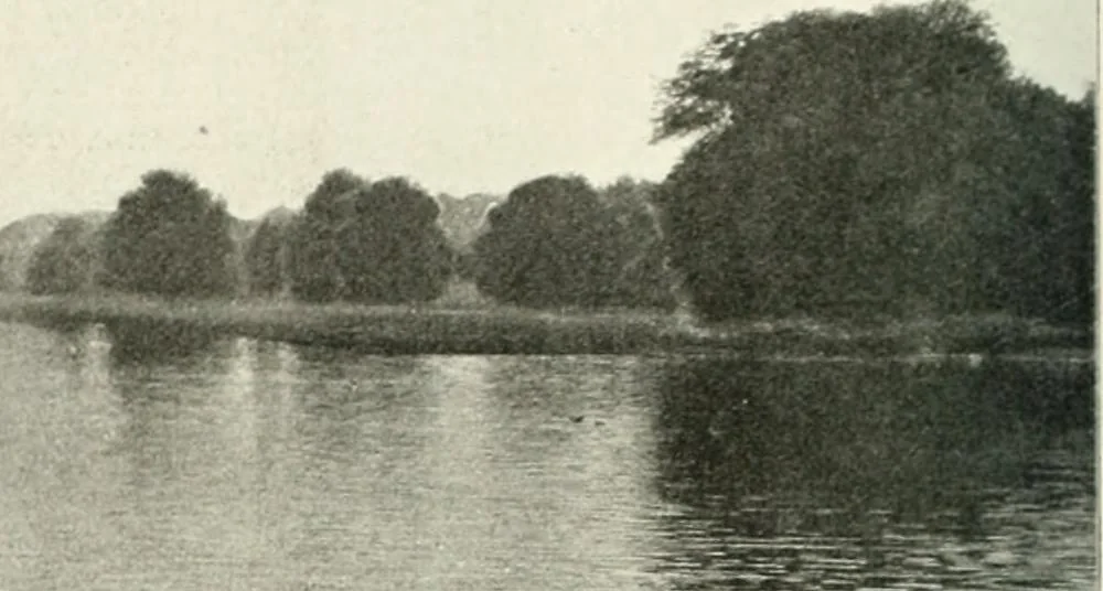 An illustration from Die Gartenkunst, 1899, leaf 545