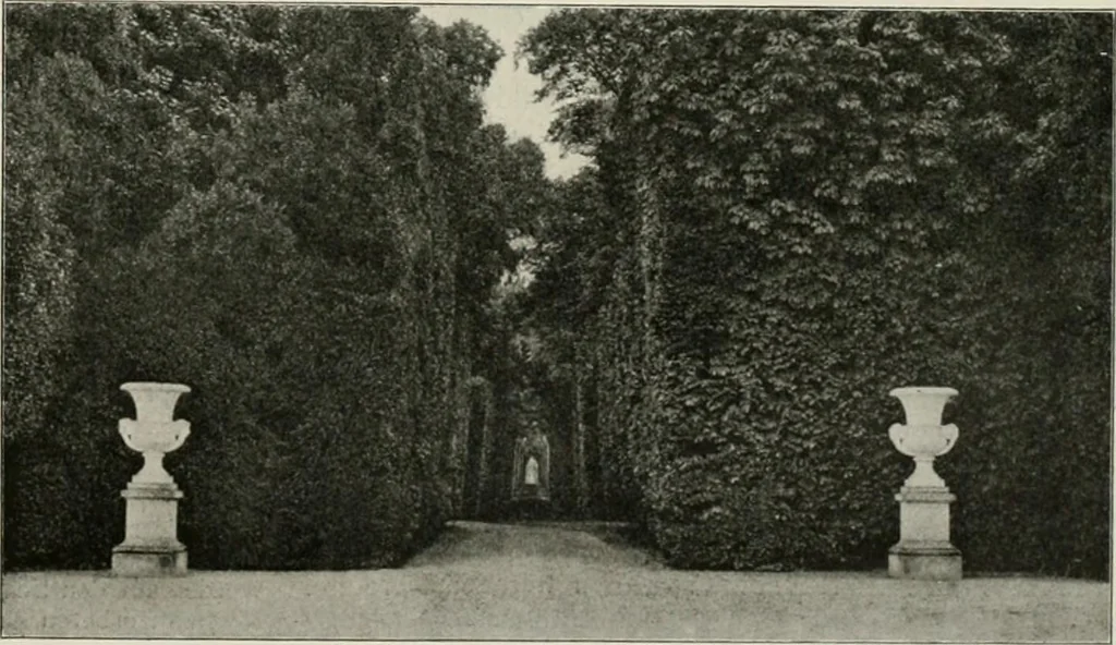 An illustration from Die Gartenkunst, 1899, leaf 546