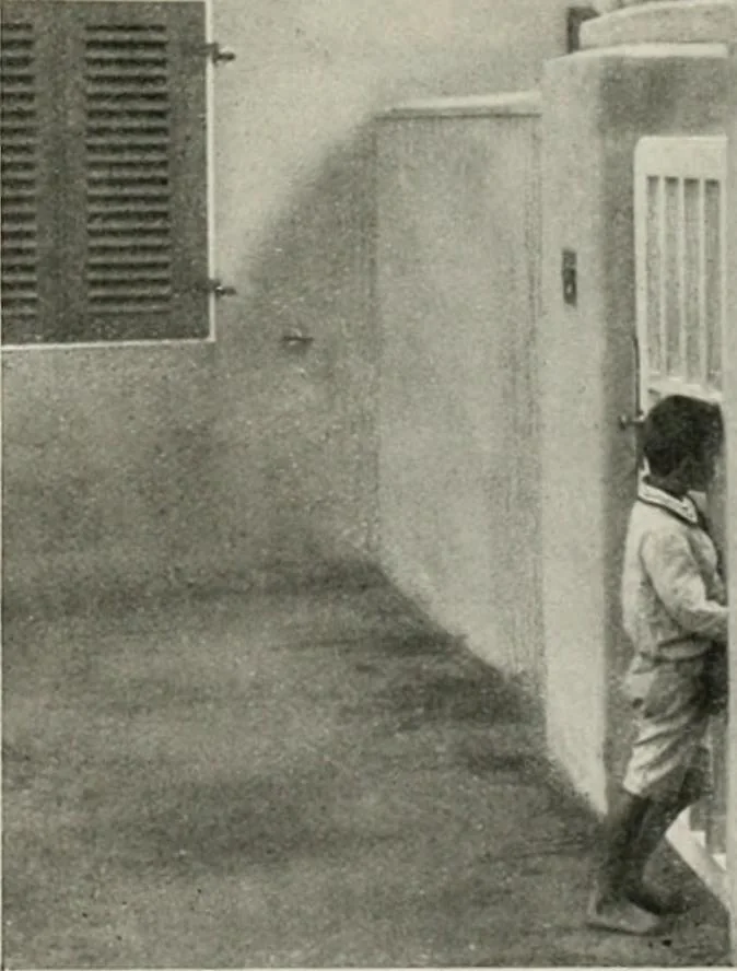 An illustration from Die Gartenkunst, 1899, leaf 560