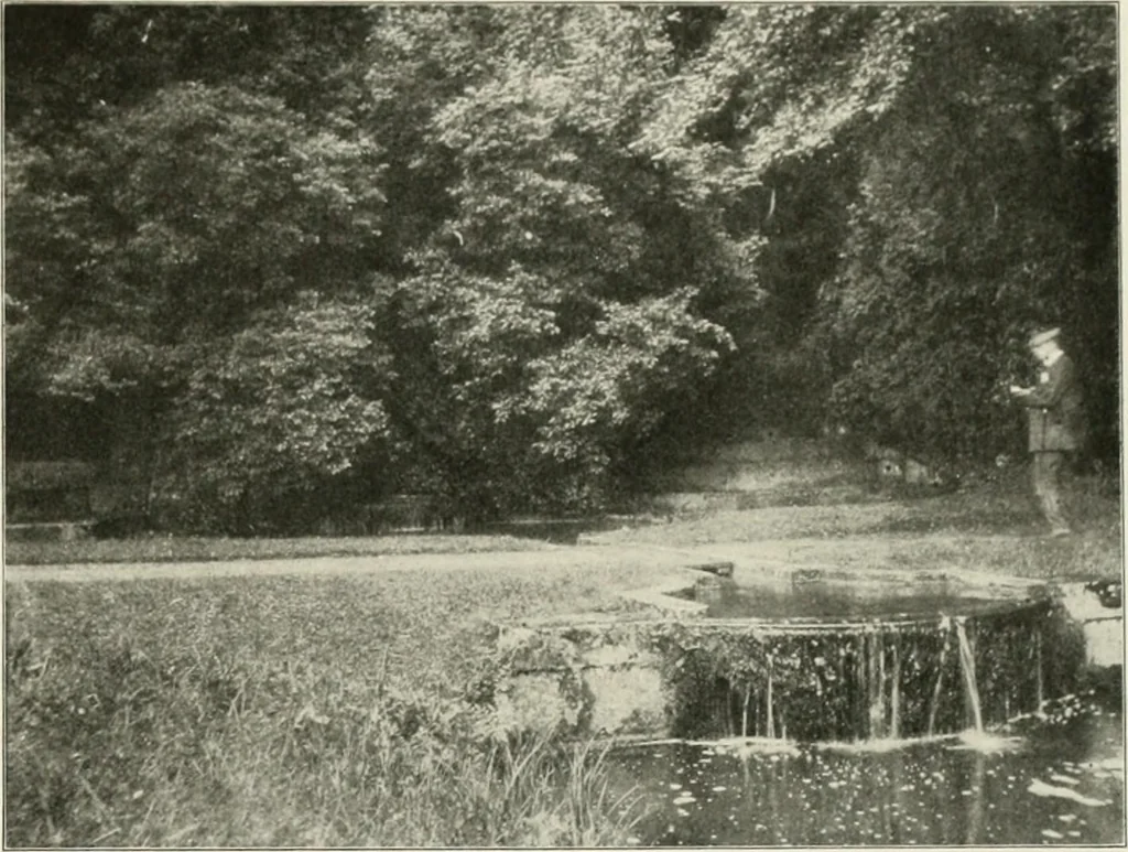An illustration from Die Gartenkunst, 1899, leaf 562