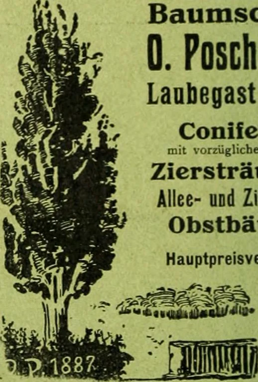 An illustration from Die Gartenkunst, 1899, leaf 577