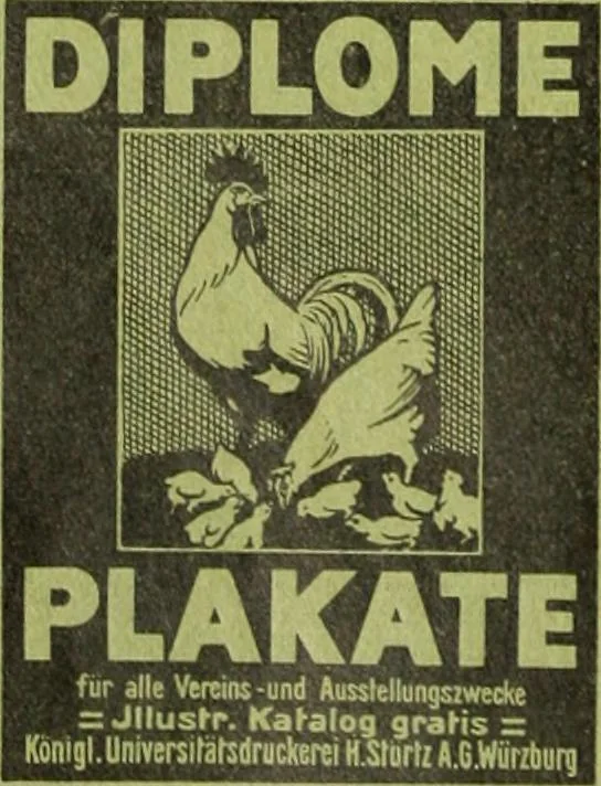 An illustration from Die Gartenkunst, 1899, leaf 581