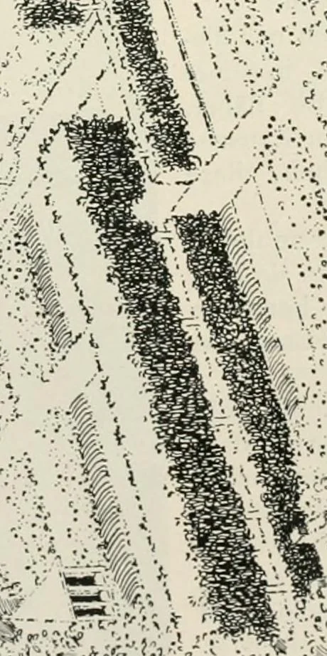 An illustration from Die Gartenkunst, 1899, leaf 588