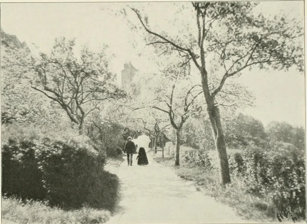 An illustration from Die Gartenkunst, 1899, leaf 590