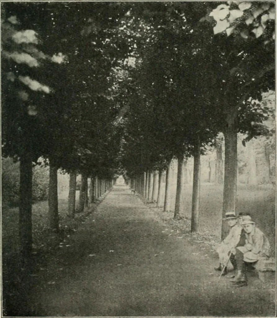 An illustration from Die Gartenkunst, 1899, leaf 596