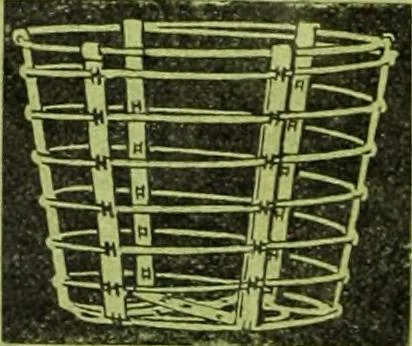 An illustration from Die Gartenkunst, 1899, leaf 61