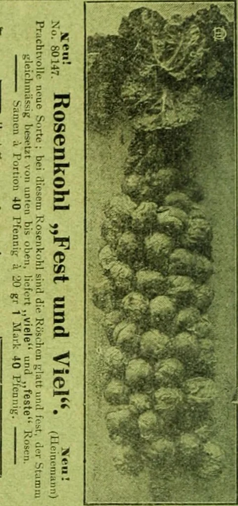 An illustration from Die Gartenkunst, 1899, leaf 63