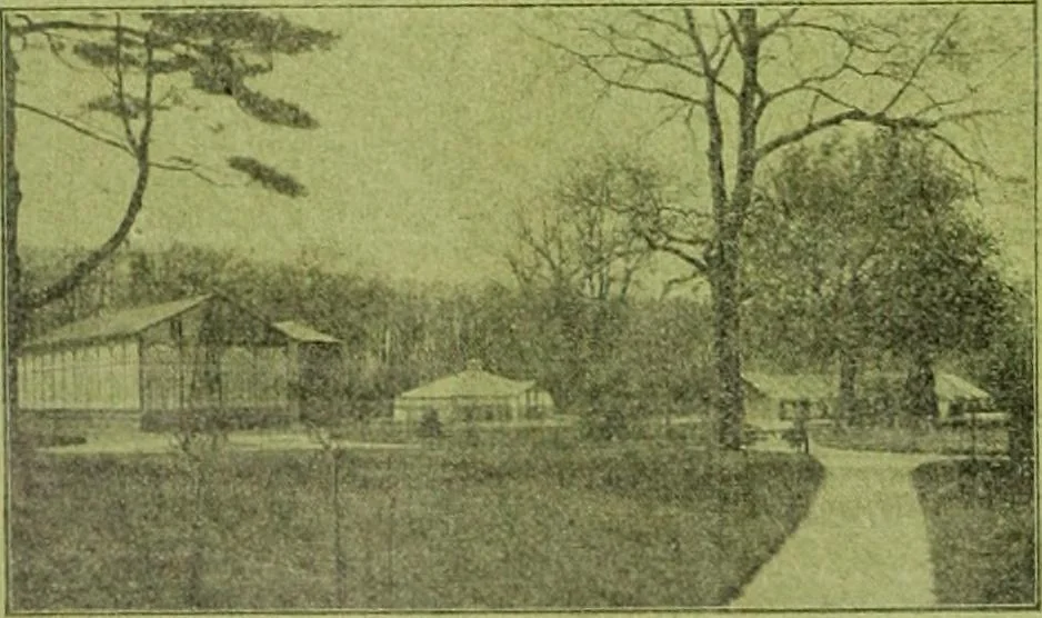 An illustration from Die Gartenkunst, 1899, leaf 63