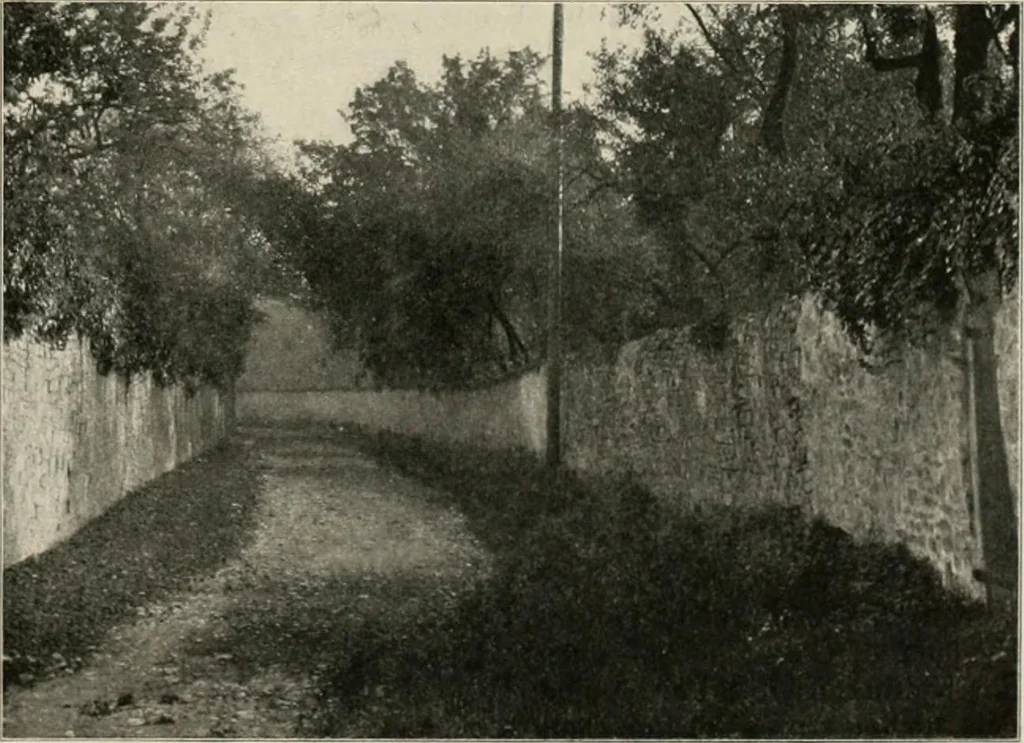 An illustration from Die Gartenkunst, 1899, leaf 66