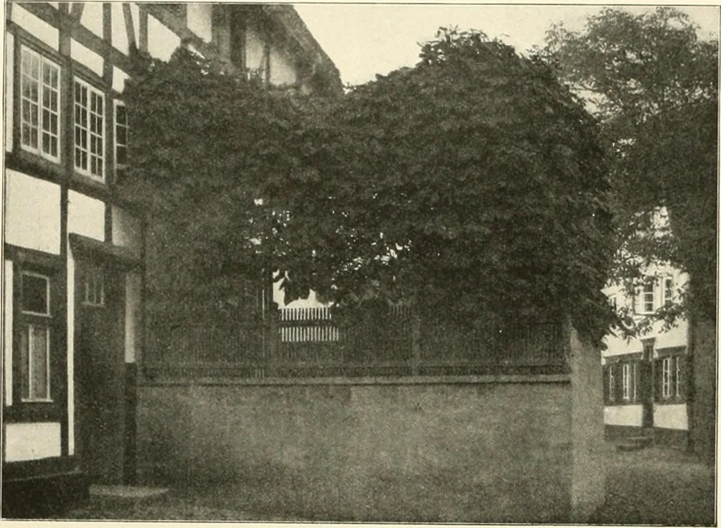 An illustration from Die Gartenkunst, 1899, leaf 71
