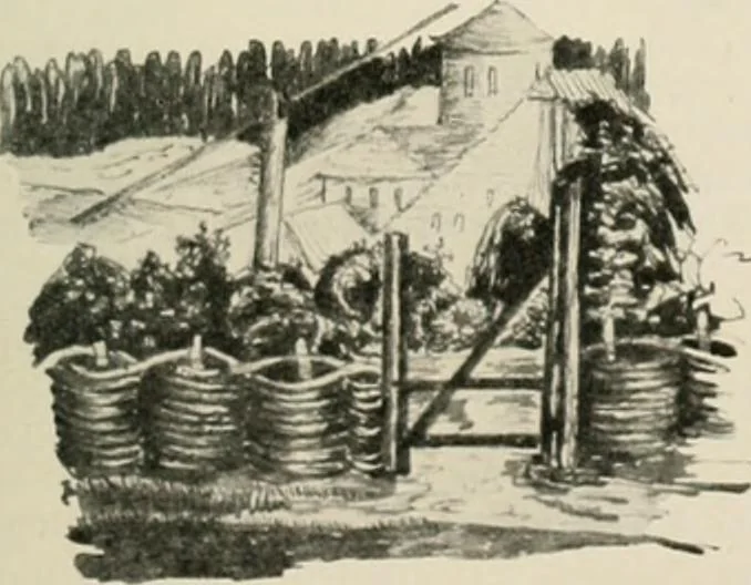 An illustration from Die Gartenkunst, 1899, leaf 78