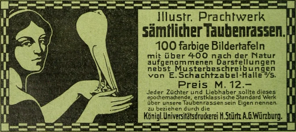 An illustration from Die Gartenkunst, 1899, leaf 85