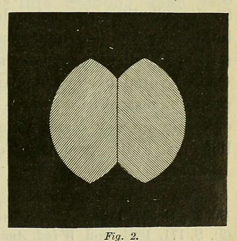 An illustration from Die Grundempfindungen in normalen und anomalen Farbensystemen und ihre Intensitätsverteilung im Spektrum, 1892, leaf 11