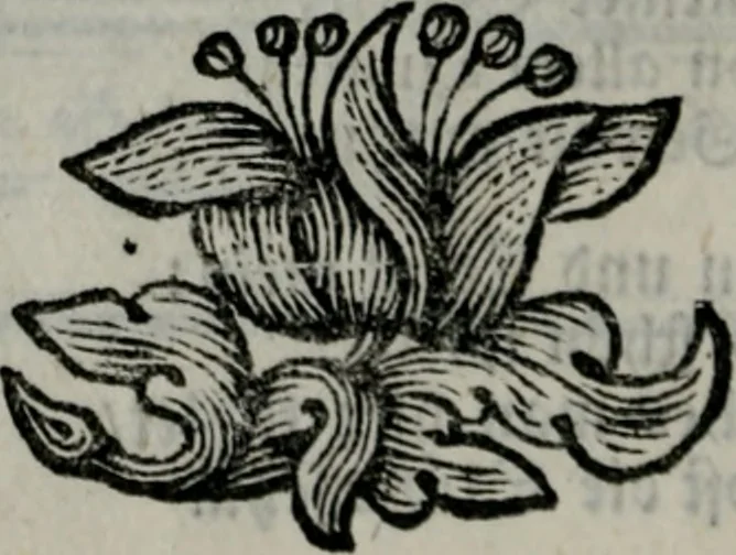 An illustration from Die ihren Gott liebende Seele, vorgestellt in den Sinnbildern des Hermanni Hugonis über seine Pia desideria, und des Ottonis Vaenii, über die Liebe Gottes, mit neuen Kupffern und Versen, welche zielen auf das innere Christenthum, aus dem Frantzösischen ins Teutsche übersetzt, 1743, leaf 145