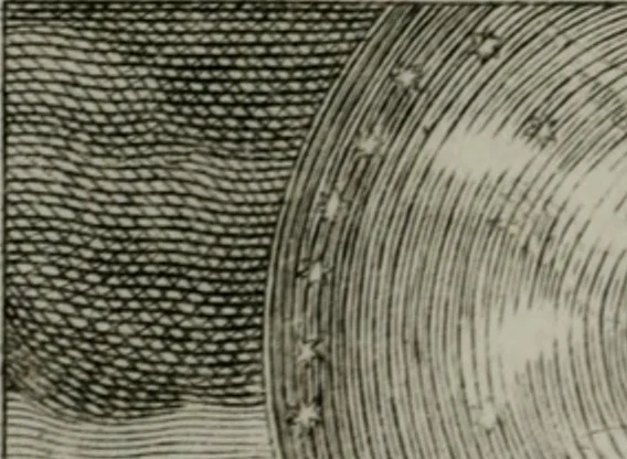 An illustration from Die ihren Gott liebende Seele, vorgestellt in den Sinnbildern des Hermanni Hugonis über seine Pia desideria, und des Ottonis Vaenii, über die Liebe Gottes, mit neuen Kupffern und Versen, welche zielen auf das innere Christenthum, aus dem Frantzösischen ins Teutsche übersetzt, 1743, leaf 149