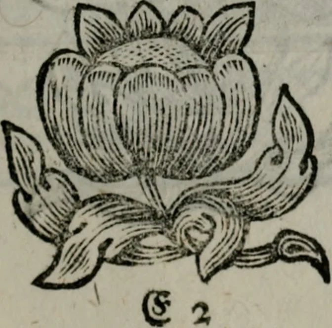 An illustration from Die ihren Gott liebende Seele, vorgestellt in den Sinnbildern des Hermanni Hugonis über seine Pia desideria, und des Ottonis Vaenii, über die Liebe Gottes, mit neuen Kupffern und Versen, welche zielen auf das innere Christenthum, aus dem Frantzösischen ins Teutsche übersetzt, 1743, leaf 220