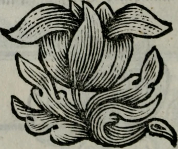 An illustration from Die ihren Gott liebende Seele, vorgestellt in den Sinnbildern des Hermanni Hugonis über seine Pia desideria, und des Ottonis Vaenii, über die Liebe Gottes, mit neuen Kupffern und Versen, welche zielen auf das innere Christenthum, aus dem Frantzösischen ins Teutsche übersetzt, 1743, leaf 221
