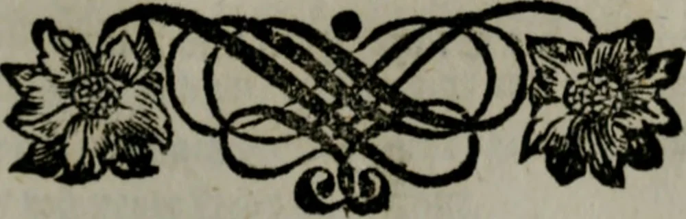 An illustration from Die ihren Gott liebende Seele, vorgestellt in den Sinnbildern des Hermanni Hugonis über seine Pia desideria, und des Ottonis Vaenii, über die Liebe Gottes, mit neuen Kupffern und Versen, welche zielen auf das innere Christenthum, aus dem Frantzösischen ins Teutsche übersetzt, 1743, leaf 372