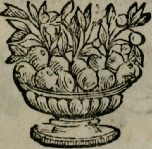 An illustration from Die ihren Gott liebende Seele, vorgestellt in den Sinnbildern des Hermanni Hugonis über seine Pia desideria, und des Ottonis Vaenii, über die Liebe Gottes, mit neuen Kupffern und Versen, welche zielen auf das innere Christenthum, aus dem Frantzösischen ins Teutsche übersetzt, 1743, leaf 382