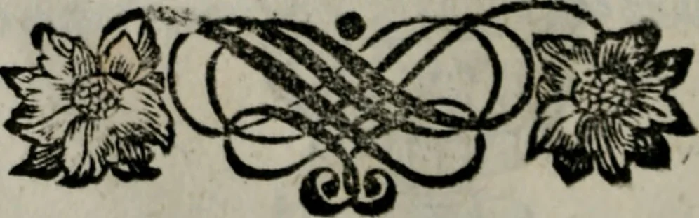An illustration from Die ihren Gott liebende Seele, vorgestellt in den Sinnbildern des Hermanni Hugonis über seine Pia desideria, und des Ottonis Vaenii, über die Liebe Gottes, mit neuen Kupffern und Versen, welche zielen auf das innere Christenthum, aus dem Frantzösischen ins Teutsche übersetzt, 1743, leaf 383