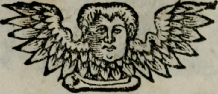An illustration from Die ihren Gott liebende Seele, vorgestellt in den Sinnbildern des Hermanni Hugonis über seine Pia desideria, und des Ottonis Vaenii, über die Liebe Gottes, mit neuen Kupffern und Versen, welche zielen auf das innere Christenthum, aus dem Frantzösischen ins Teutsche übersetzt, 1743, leaf 399