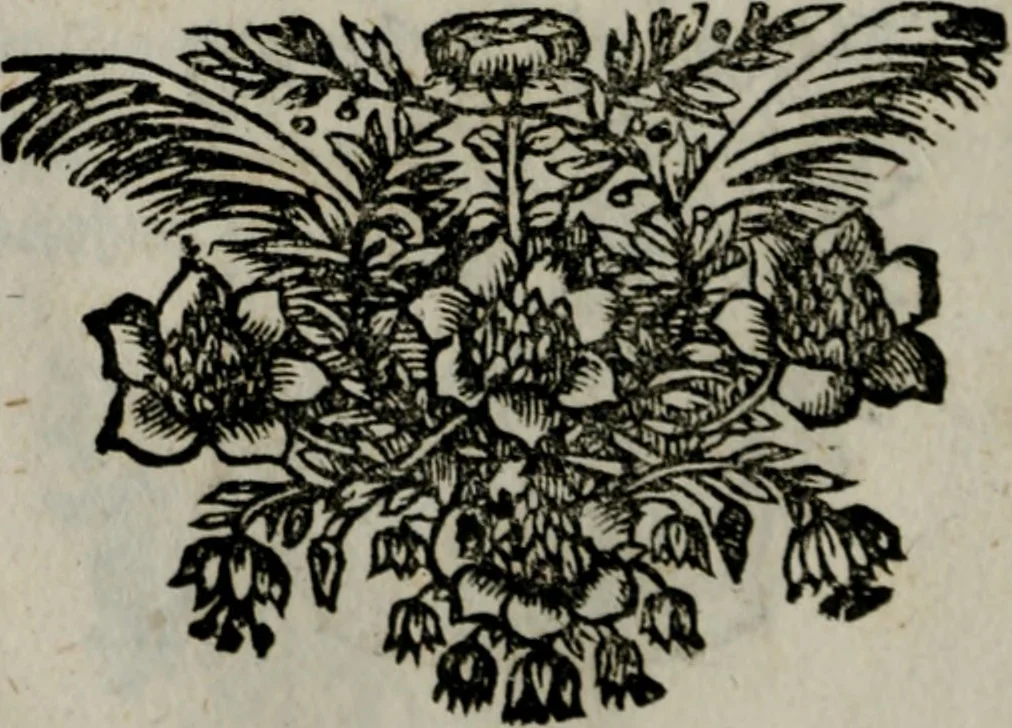 An illustration from Die ihren Gott liebende Seele, vorgestellt in den Sinnbildern des Hermanni Hugonis über seine Pia desideria, und des Ottonis Vaenii, über die Liebe Gottes, mit neuen Kupffern und Versen, welche zielen auf das innere Christenthum, aus dem Frantzösischen ins Teutsche übersetzt, 1743, leaf 411