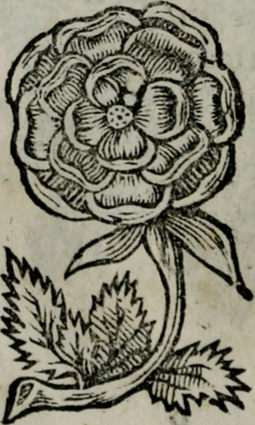 An illustration from Die ihren Gott liebende Seele, vorgestellt in den Sinnbildern des Hermanni Hugonis über seine Pia desideria, und des Ottonis Vaenii, über die Liebe Gottes, mit neuen Kupffern und Versen, welche zielen auf das innere Christenthum, aus dem Frantzösischen ins Teutsche übersetzt, 1743, leaf 413